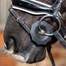 Acavallo Bit Guards (Black) additional 2