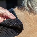 Acavallo Lightweight Gel Pad (Black) additional 3