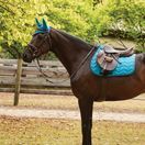 Collegiate Anatomic Girth (Brown) additional 3