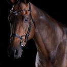 Collegiate Comfitec Crystal Bridle (Black) additional 1