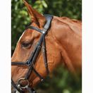 Collegiate Comfitec Grackle Bridle (Black) additional 5