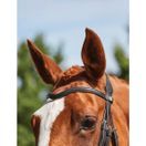 Collegiate Comfitec Grackle Bridle (Black) additional 6