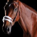 Collegiate Comfitec Sheepskin Bridle (Brown) additional 1