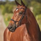 Collegiate Comfitec Training Bridle (Black) additional 2