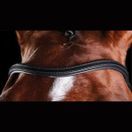 Collegiate Comfitec Training Bridle (Black) additional 4