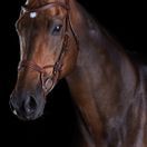 Collegiate Comfitec Training Bridle (Brown) additional 1
