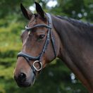Collegiate Comfitec Vogue Anatomical Bridle (Black) additional 1