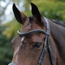 Collegiate Comfitec Vogue Anatomical Bridle (Black) additional 2