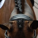 Collegiate Comfitec Vogue Anatomical Bridle (Black) additional 3