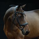 Collegiate Comfitec Vogue Anatomical Bridle (Black) additional 5