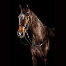 Collegiate Comfitec Weymouth Bridle (Black) additional 1