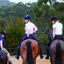 Dublin Ladies Performance Cool-It Gel Riding Tights (Navy) additional 4