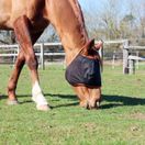 Equilibrium Field Relief Midi Fly Mask No Ears (Black/Orange) additional 2