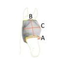 Equilibrium Field Relief Midi Fly Mask No Ears (Black/Orange) additional 3