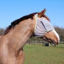 Equilibrium Field Relief Midi Fly Mask No Ears (Grey/Yellow) additional 2