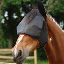 Equilibrium Field Relief Midi Fly Mask With Ears (Black/Orange) additional 1