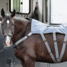 Equilibrium Heatsense Massage Pad additional 4
