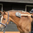 Equilibrium Massage Mitt Hot Spot additional 4
