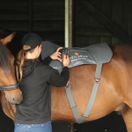 Equilibrium Massage Pad additional 3