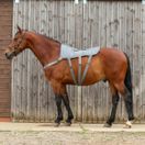 Equilibrium Massage Pad additional 7