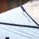 Equilibrium Quick Chill Cooling Rug additional 3