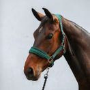Equilibrium Stellar Style Headcollar (Green) additional 2