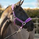 Equilibrium Stellar Style Headcollar (Purple) additional 2