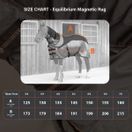Equilibrium Therapy Magnetic Rug additional 5
