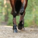 Equilibrium Tri-Zone Brushing Boots - NEW (Brown) additional 2