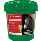 Global Herbs Gut Support additional 2