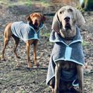 Henry Wag Drying Coat additional 3