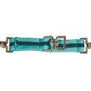 Kincade Brights Two Tone Lunging Attachment (Aqua/Black) additional 2