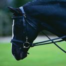 Kincade Chambon (Black) additional 1