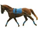 Kincade Lunging Training System additional 1