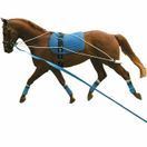Kincade Lunging Training System additional 2