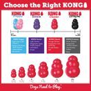 KONG Classic additional 3