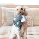 KONG Comfort Kiddos Bear additional 2