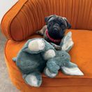 KONG Comfort Kiddos Jumbo Elephant additional 2