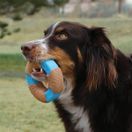 KONG Corestrength Bamboo Bone additional 2