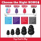 KONG Extreme additional 4