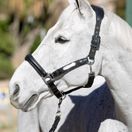 LeMieux Capella Headcollar (Black) additional 3
