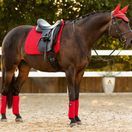 LeMieux Polo Bandages (Chilli) additional 2