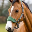 LeMieux Vogue Fleece Headcollar &amp; Leadrope (Hunter Green) additional 2