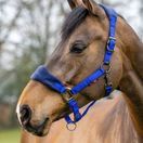 LeMieux Vogue Fleece Headcollar &amp; Leadrope (Navy/Royal Blue) additional 2