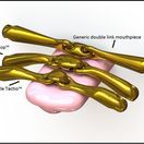 Neue Schule Turtle Tactio Loose Ring Snaffle (16mm Mouthpiece/70mm Ring) additional 2