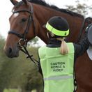 Roma Reflective Hat Band (Yellow) additional 1