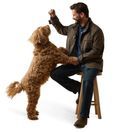 Ariat Mens Calumet Field Jacket (Banyan Bark) additional 1