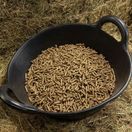 Spillers Racehorse Cubes (25kg) additional 3
