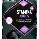 Spillers Stamina+ Cubes (20kg) additional 3