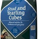 Spillers Stud &amp; Yearling Cubes (20Kg) additional 1